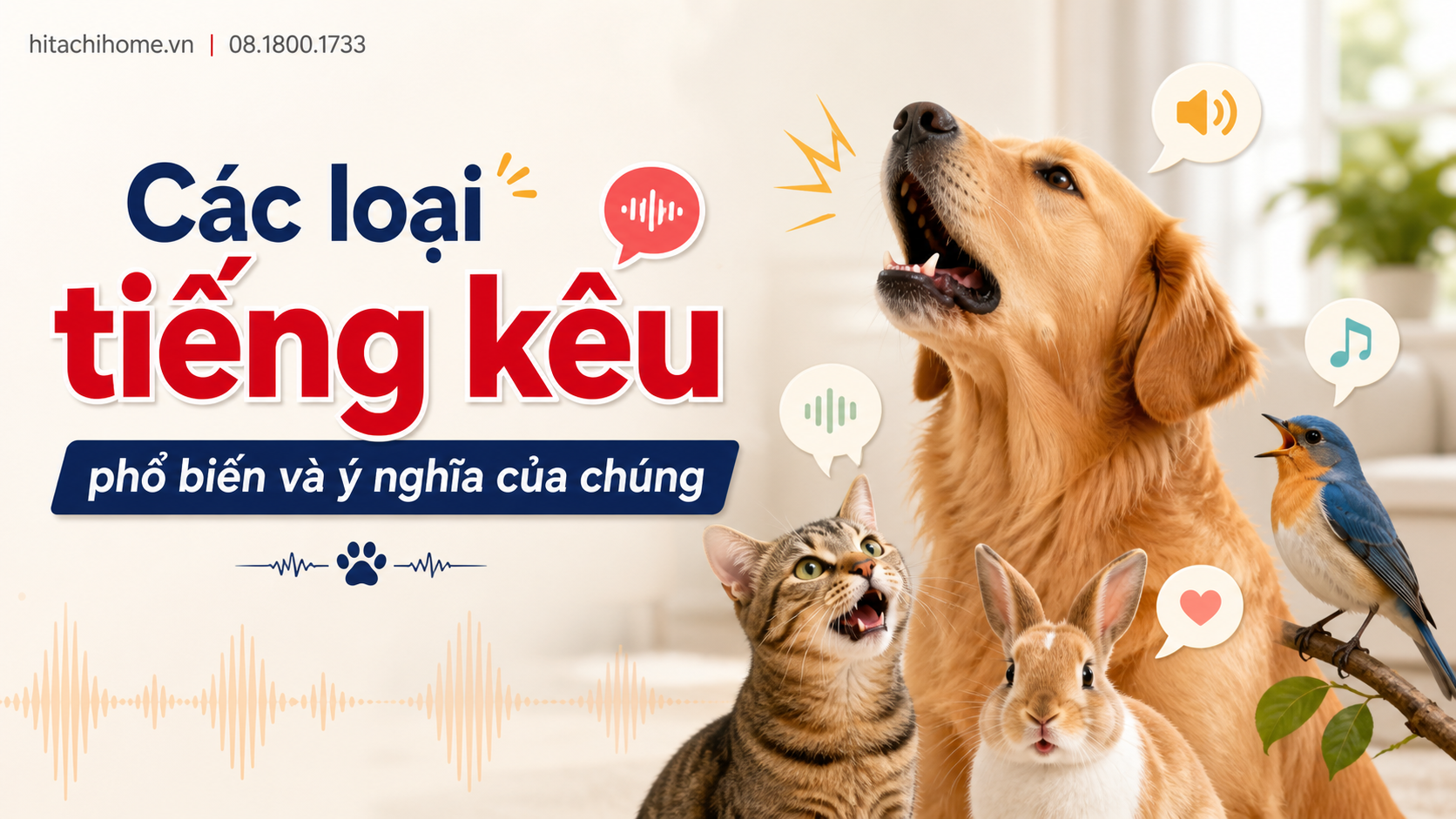 Các loại tiếng kêu phổ biến và ý nghĩa của chúng